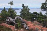 panorama ze szczytu, wyspa Mjalton, Hoga Kusten, Wysokie Wybrzeże, Szwecja, Zatoka Botnicka