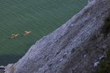 Kajakarze morscy, Kredowe klify na wyspie Mon, Mons Klint, Wyspa Mon, Dania
