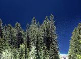 Tatry widok na Morskie Oko