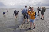 mud walking, wycieczki piesze po osuchach na morzu, Warffumerlaag koło Noordpolderzijl, Fryzja, Waddenzee, Holandia, Morze Wattowe