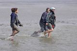 mud walking, wycieczki piesze po osuchach na morzu, Warffumerlaag koło Noordpolderzijl, Fryzja, Waddenzee, Holandia, Morze Wattowe