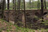 Park Mużakowski, Łęknica, lista światowego dziedzictwa UNESCO Most Arkadowy strona polska