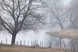 we mgle nad rzeką Narew, Podlasie
