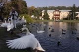 Nałęczów, Sanatorium Książę Józef w Parku Zdrojowym