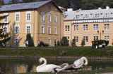 Nałęczów, Sanatorium Książę Józef w Parku Zdrojowym