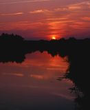 rzeka Narew, Narwiański Park Narodowy