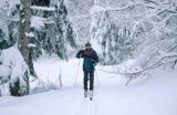 na nartach na Szyndzielni, Beskid Śląski