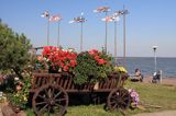 kwietnik i wiatrowskazy w Nidzie na Mierzei Kurońskiej, Zalew Kuroński, Neringa, Litwa Nida village, Curonian Spit, Curonian Lagoon, Neringa, Lithuania