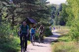 ścieżka rowerowa w Nidzie na Mierzei Kurońskiej, Zalew Kuroński, Neringa, Litwa Nida village, Curonian Spit, Curonian Lagoon, Neringa, Lithuania