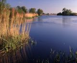 Odra, Park Krajobrazowy Dolnej Odry