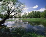 Odra, wiosenne rozlewiska, Cedyński Park Krajobrazowy