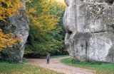 Krakowska Brama Ojcowski Park Narodowy