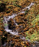 strumyk i wodospad w Ojcowskim Parku Narodowym