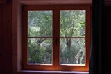 okno drewniane, widok za oknem
