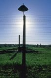 Oświęcim - Brzezinka, Birkenau