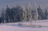 Pieniny zimą