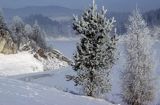 Zalew Czorsztyński zimą