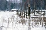 zima na Podlasiu, strach na wróble