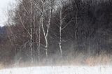 zimowa zawierucha koło wsi Grabówka, Pogórze Dynowskie