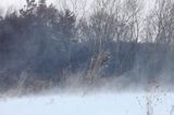 zimowa zawierucha koło wsi Grabówka, Pogórze Dynowskie