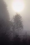 W porannej mgle na Kaszubach, Pojezierze Bytowskie