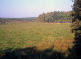 Poleski Park Narodowy, Durne Bagno