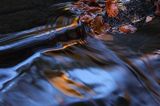 Jesień, odbicie w wodzie potoku, potok Hulski
