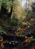 Potok, Beskid Niski