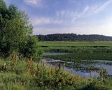 Podlaski przełom Bugu Park Krajobrazowy