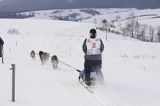 psi zaprzęg, wyścigi psich zaprzęgów, Kager Cup, W krainie wilka, Lutowiska, Bieszczady