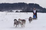 psi zaprzęg, wyścigi psich zaprzęgów, Kager Cup, W krainie wilka, Lutowiska, Bieszczady