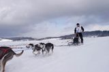 psi zaprzęg, wyścigi psich zaprzęgów, Kager Cup, W krainie wilka, Lutowiska, Bieszczady