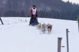 psi zaprzęg, wyścigi psich zaprzęgów, Kager Cup, W krainie wilka, Lutowiska, Bieszczady