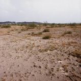 Pustynia Błędowska koło Olkusza, Polska Sahara