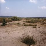 Pustynia Błędowska koło Olkusza, Polska Sahara