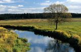 Park Krajobrazowy Puszczy Knyszyńskiej rzeka Skołda