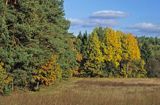 Park Krajobrazowy Puszczy Knyszyńskiej