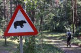 znak w lesie Uwaga niedźwiedź, wyspa Ruhnu, Estonia Ruhnu Island, Estonia