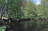 rzeka Drawa Drawieński Park Narodowy