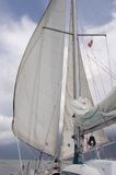 s/y Safran, Trismus 37, z wiatrem pod dwoma fokami