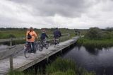 na ścieżce rowerowej w parku narodowym na wyspie Schiermonnikoog, Wyspy Fryzyjskie, Waddenzee, Holandia Nationaal Park Schiermonnikoog, Morze Wattowe