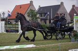 koń fryzyjski w zaprzęgu w czasie zawodów konnych na wyspie Schiermonnikoog, Wyspy Fryzyjskie, Waddenzee, Holandia, Morze Wattowe