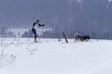 skijoring, wyścigi psich zaprzęgów, Kager Cup, W krainie wilka, Lutowiska, Bieszczady