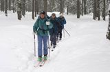 skitouring