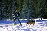 narciarz tourowy i pies husky