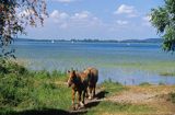 jezioro Śniardwy, Mazury