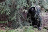 leśny strój maskujący fotografa przyrody