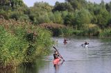 rzeka Sysa dopływ rzeki Niemen, Park Regionalny Delty Niemna, Litwa Sysa river, Nemunas Delta, Lithuania