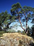 Zatoka Skutviken na wyspie Rano, okolice Nynashamn, archipelag sztokholmski, szkiery szwedzkie, Szwecja