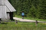 na Polanie Chochołowskiej Tatrzański Park Narodowy